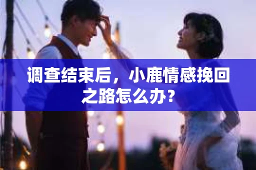 调查结束后，小鹿情感挽回之路怎么办？