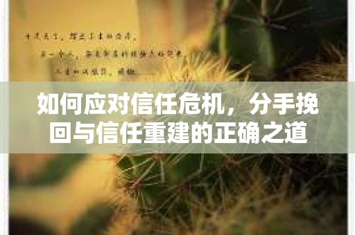 如何应对信任危机，分手挽回与信任重建的正确之道
