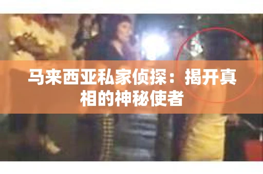 马来西亚私家侦探：揭开真相的神秘使者