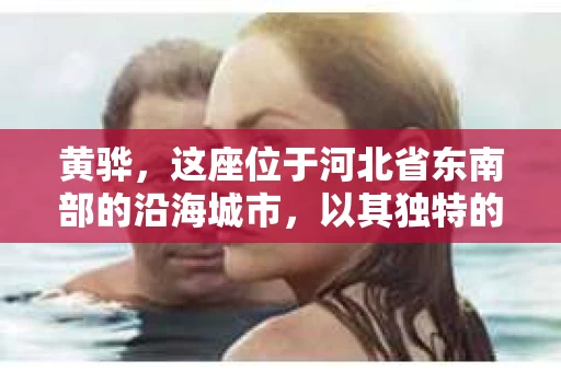 黄骅，这座位于河北省东南部的沿海城市，以其独特的地理位置和丰富的历史文化而闻名。然而，在这座城市中，还有一群人，他们以另一种方式默默守护着社会的公平与正义——私家侦探。今天，我们就来聊聊黄骅的私家侦探，看看他们是如何在这个城市中发挥作用的。
