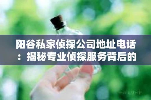 阳谷私家侦探公司地址电话：揭秘专业侦探服务背后的故事