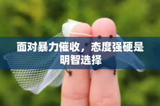 面对暴力催收，态度强硬是明智选择