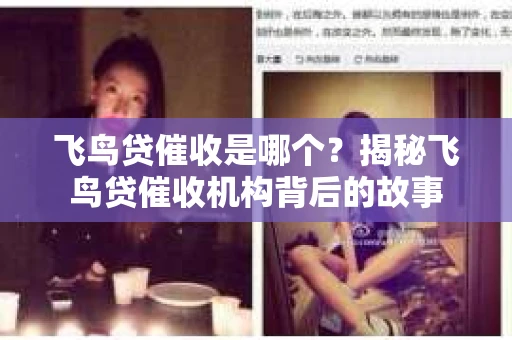 飞鸟贷催收是哪个？揭秘飞鸟贷催收机构背后的故事