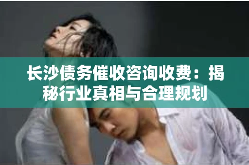 长沙债务催收咨询收费：揭秘行业真相与合理规划