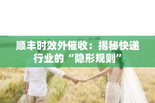 顺丰时效外催收：揭秘快递行业的“隐形规则”