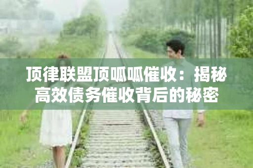 顶律联盟顶呱呱催收：揭秘高效债务催收背后的秘密