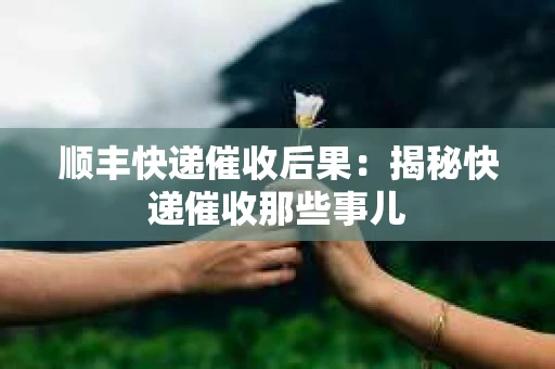 顺丰快递催收后果：揭秘快递催收那些事儿