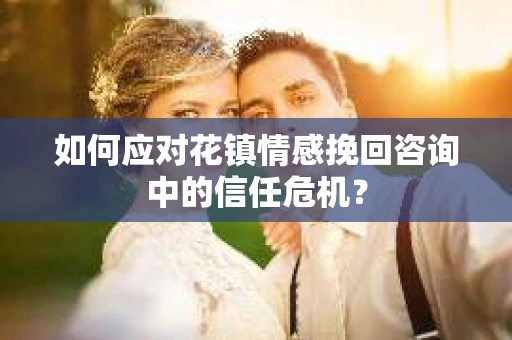 如何应对花镇情感挽回咨询中的信任危机？