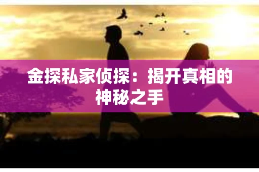 金探私家侦探：揭开真相的神秘之手