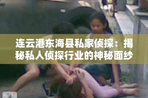 连云港东海县私家侦探：揭秘私人侦探行业的神秘面纱