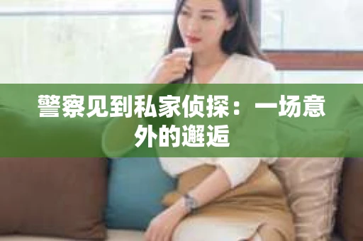 警察见到私家侦探：一场意外的邂逅