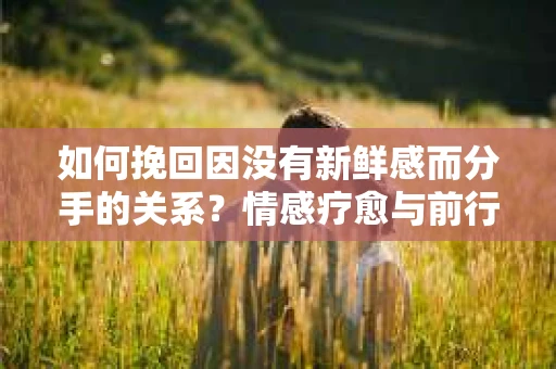 如何挽回因没有新鲜感而分手的关系?情感疗愈与前行计划 如何挽回因没有新鲜感而分手的关系?情感疗愈与前行计划