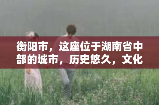 衡阳市，这座位于湖南省中部的城市，历史悠久，文化底蕴深厚。随着社会的发展，人们对于个人隐私的保护意识逐渐增强，私家侦探机构也应运而生。那么，衡阳市是否有私家侦探机构呢？今天，我们就来聊聊这个话题。