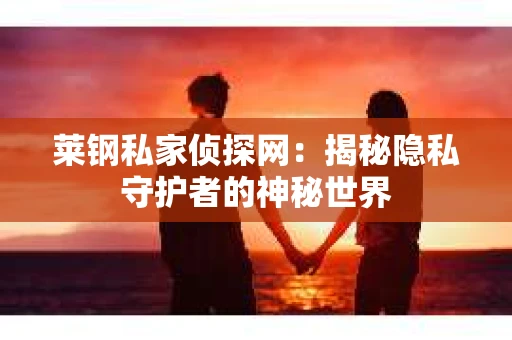 莱钢私家侦探网：揭秘隐私守护者的神秘世界