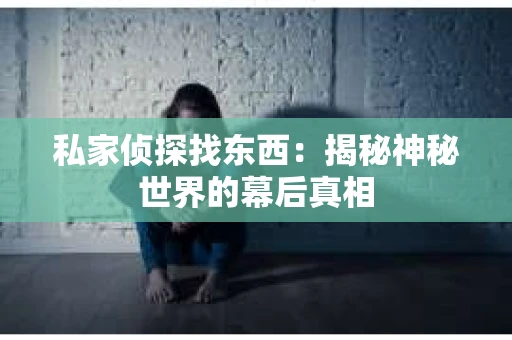 私家侦探找东西：揭秘神秘世界的幕后真相
