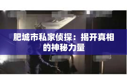 肥城市私家侦探：揭开真相的神秘力量