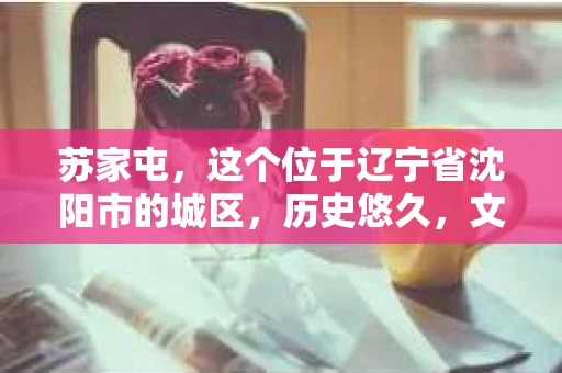 苏家屯，这个位于辽宁省沈阳市的城区，历史悠久，文化底蕴深厚。近年来，随着社会的发展，人们对于私家侦探的需求也逐渐增加。那么，苏家屯有私家侦探吗？今天，我们就来聊聊这个话题。