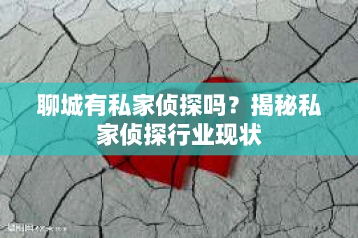 聊城有私家侦探吗？揭秘私家侦探行业现状