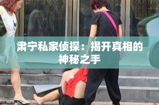 肃宁私家侦探：揭开真相的神秘之手