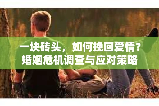 一块砖头，如何挽回爱情？婚姻危机调查与应对策略
