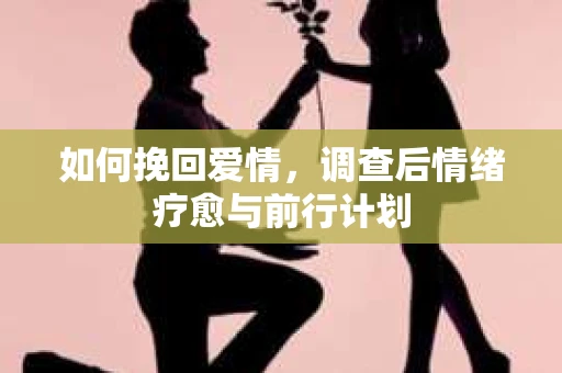 如何挽回爱情，调查后情绪疗愈与前行计划