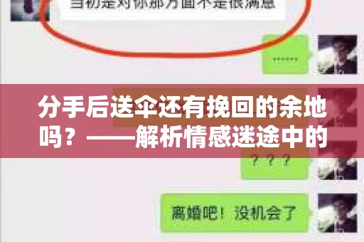 分手后送伞还有挽回的余地吗？——解析情感迷途中的决策