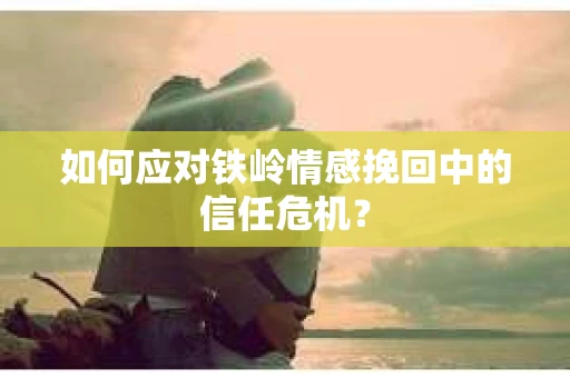 如何应对铁岭情感挽回中的信任危机？
